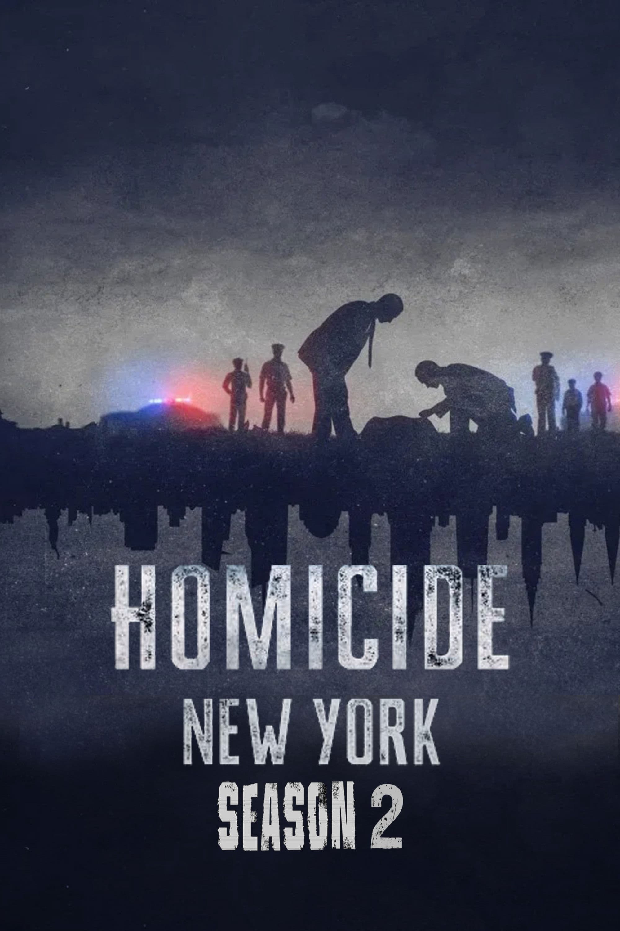 Homicide (Season 3)